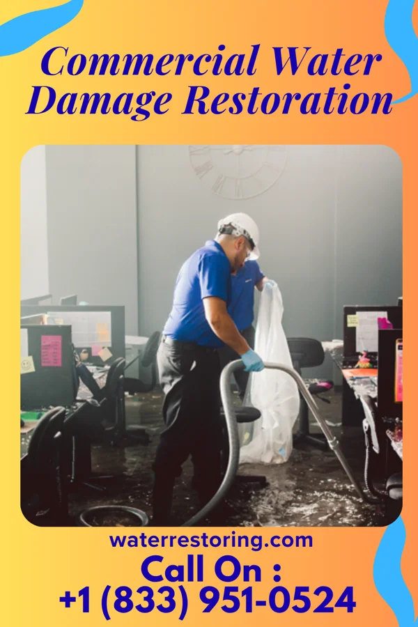 Commercial Water Damage Restoration in Gladeview, FL