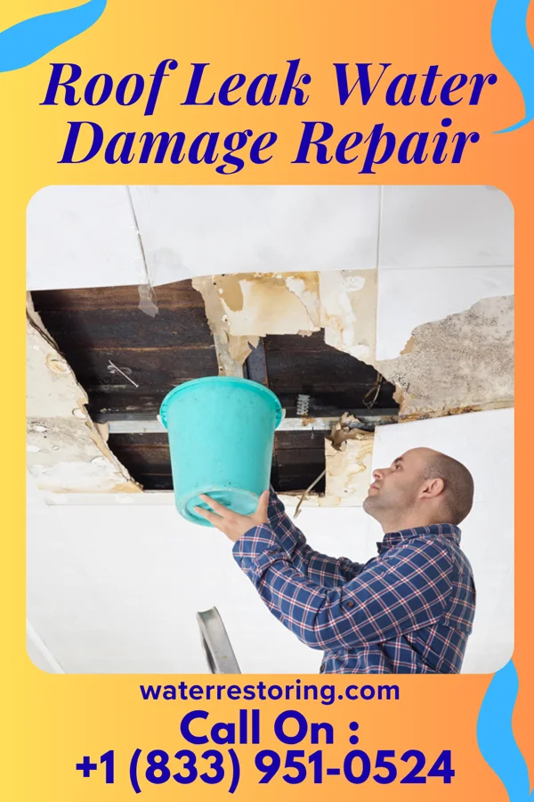 Roof Leak Water Damage Repair in Gladeview, FL